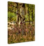 ZeSmakiem Órák 30x40 Nyírfa a hangák között Erdő (H5M_Z1D_30x40cm AZ)