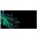 Coloray Vászonkép Dzsungel botanika levél 100x50 cm (010030010010000016963)
