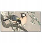 Coloray Vászonkép Természet állatok madarak 100x50 cm (010030010010000017837)