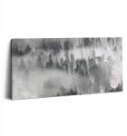 Wallfluent Canvas Vászonkép Otthonra Ökológiai Tájkép Ködös erdő 100x50 cm (010030010010000276850)