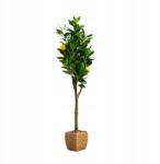 Homla Műnövény Citromfa Homla 115 cm (237254)