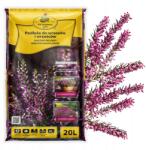 KIK Föld Aljzat Hanga És Fekélyekhez komposzttal és műtrágyával 20L Kik (KIK)