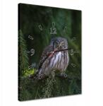 ZeSmakiem Órák 30x40 Bagoly madár (H10300Z_Z1D_30x40cm AZ)