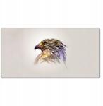 Coloray Vászonkép Állat madár sas 100x50 cm (010030010010000016795)