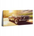 Wallfluent Vászonkép Klasszikus Autó Vezetés közben 100x50 cm (010030010010000074856)