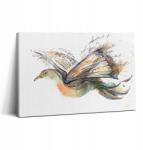 Wallfluent Canvas Vászonkép Gyönyörű Nyomtatás Étkezőbe Madár Könyv 30x20 cm (010030010150000074841)