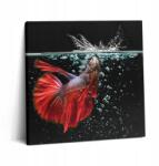 Wallfluent Canvas Vászonkép Fa Keret Előszobába Hal Akváriumban 60x60 cm (010030010270000074936)