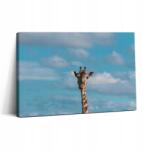 Wallfluent Fotó Vászonkép Canvas Fa Keret Vendégszoba Zsiráf Fej Ég (010030010150000075345)