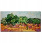 Coloray Vászonkép Liget kék ég Van Gogh 100x50 (010030010010000018284)