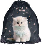 PASO Iskolatáska Cipő Wf Hátizsák Zsinóros Cica Kislány (PP25CO-712)