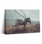 Wallfluent Vászonkép Dekoratív Edzőterem Illusztráció Zebra csíkok 30x20 cm (010030010150000074611)