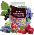 Biovita Savanyú Tőzeg áfonyához és savas kémhatású növényekhez Ph 3, 5-4, 5 50L (5907813160257)