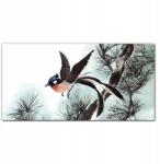 Coloray Vászonkép Állat madár ág 100x50 cm (010030010010000018664)