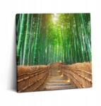 Wallfluent Vászonkép Tartós Fali Előszoba Út a Bambusz Erdőben (010030010270000075304)