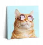 Wallfluent Vászonkép Canvas Lakberendezés Irodába Vicces Macska Szemüvegben 60x60 cm (010030010270000075337)