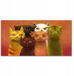Coloray Vászon falikép Állatok macskák 100x50 cm (010030010010000018787)