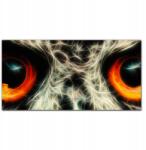 Coloray Vászonkép, falikép Állat 100x50 cm (010030010010000016710)