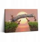 Wallfluent Vászonkép Canvas Tartós Falikép Hangyák Nappaliba A Fatörzsön 30x20 (010030010150000075276)