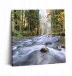 Wallfluent Vászonkép Edzőterembe Könnyű Összeszerelés Hegyi patak 60x60 cm (010030010270000075283)