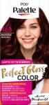 Palette Hajfesték Palette Poly Perfect Gloss 468, 115 ml