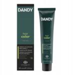 Dandy Színezőkrém Férfiaknak Őszülés Elfedő Szürke Man 60ml 6 Sötét Szőke (1018450060016)