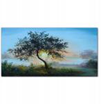 Coloray Fotó-vászonkép Fa ég nap 100x50 (010030010010000017450)