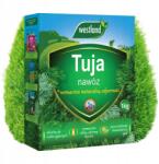 Westland Tui tuja műtrágya tiszafa ciprus lucfenyő 1KG (nawóz do tui jesienny wiosenny)