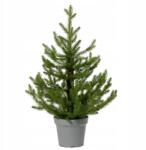  Mini Norway zöld műfenyő dekoratív kaspóban 75cm (sztuczna choinka)