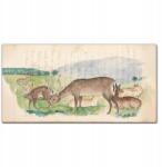 Coloray Vászonkép Szarvas állatok rajz 100x50 cm (010030010010000016623)