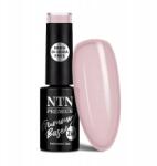 NTN Premium Gummy Base Ntn Hibrid Gumi Alap Erősíti A 2in1 Sandstorm No. 4 Építését (5903990502637)