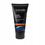 Ecolatier Deo-lábápoló krém 100ml (8606032061679)