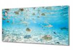 ArtprintCave Üveg falikép Cápák halak óceán 100x50 (010010010010100037928)
