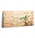 Wallfluent Vászonkép Canvas Stílusos Ajándék Konyha Növény Száraz Föld (010030010010000075299)