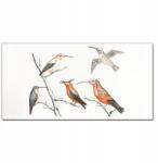Coloray Vászonkép keretben Állatok Madarak 100x50 (010030010010000018116)
