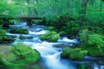 DIMEX ART Флизелинов фототапет горски поток 375 x 250 см