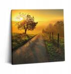 Wallfluent Vászonkép Canvas a dolgozószobába Fa kerettel Köd a napfelkeltéről (010030010270000075195)