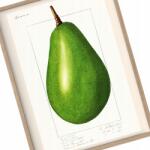  Konyha poszter Avocado Vintage Retro kép A3