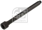Febi Bilstein Skrutka hlavy valcov FEBI BILSTEIN 184669 (184669)