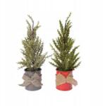 Kaemingk Mini fa cserépben zöld/fehér 12x32cm (sztuczna choinka)