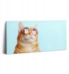 Wallfluent Vászonkép Canvas Előszoba Falra Vicces Macska Szemüvegben (010030010010000075337)
