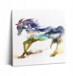 Wallfluent Canvas Fotó Hálószoba Vászon Inspiráló Ló És Festett Tájkép 60x60 (010030010270000074863)