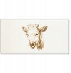 Coloray Fotó-vászon keretes vászonkép Állat tehén 100x50 cm (010030010010000018029)