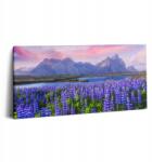 Wallfluent Vászonkép Canvas Modern Szoba Levendula mezők Izland 100x50 cm (010030010010000076039)