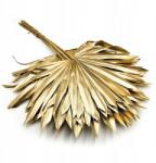 Enchanted Pálma, legyező (Palm Sun) Arany (PALM SUN ZLOTY)