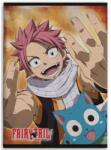  Fairy Tail Happy polár takaró 100x140cm (AYM073539) - sandori