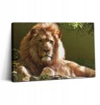Wallfluent Vászonkép Hálószobába Kortárs Oroszlán portré Vadállat (010030010150000075456)