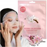 Baroness Cseresznyevirág arcmaszk ázsiai archoz Baroness (8809087932462)