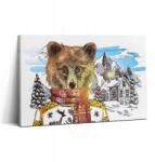 Wallfluent Fotó Vászonkép Látványos Stúdió Medve Sálban 30x20 cm (010030010150000075210)