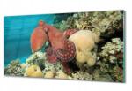 ArtprintCave Üveg falikép Polip óceán 100x50 (010010010010100036934)