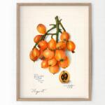  Konyhai poszter Japán Vintage A3 (O5 Plakat do Kuchni Vintage A3)